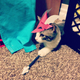 Illustration for article titled Tiny Hats for Cats
